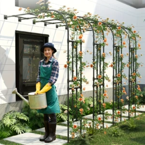 Half Sided Arch Trellis
