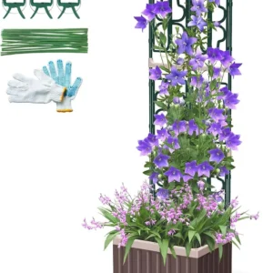 Garden Bed Planter Boxes with Trellis